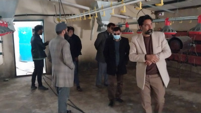 بازدید علمی پژوهشی اساتید دانشگاه بزرگمهر از دو مجموعه تولید مرغ گوشتی