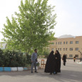 آغاز رقابت کنکور ۱۴۰۴ با آزمون ریاضی و انسانی