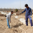 مراسم روز درختکاری و گرامیداشت هفته منابع طبیعی در دانشگاه برگزار شد