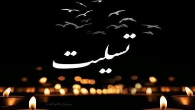 دکتر شکیب در پی شهادت فرزند قائم مقام وزیر علوم پیام تسلیتی صادر کرد